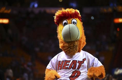 Miami heat mascot video recording